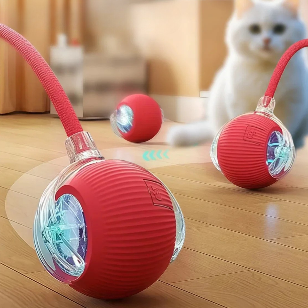 Hareketli Akıllı Kedi Oyuncağı