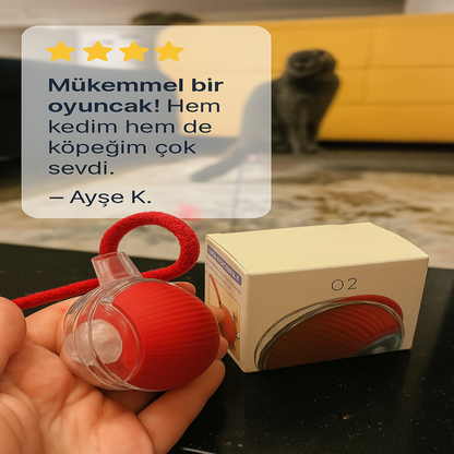 Hareketli Akıllı Kedi Oyuncağı